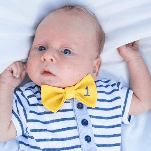 1st month Baby  Embroidered bow tie