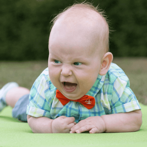 4th month Baby  Embroidered bow tie
