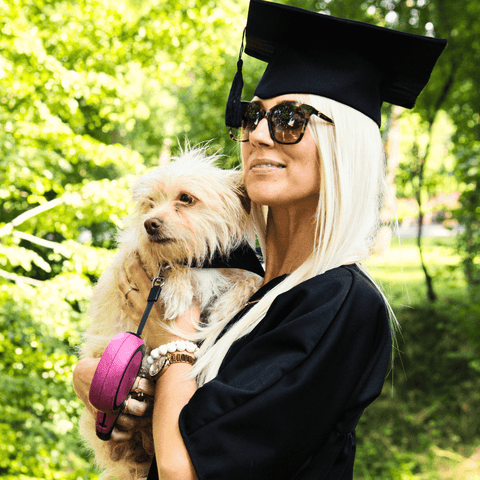 Gold Rika embroidered Pet Collar