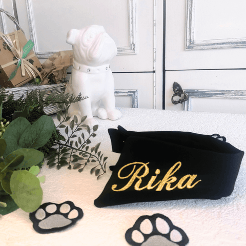 Gold Rika embroidered Pet Collar