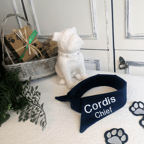 Chief Pet Fashion Collar with Name and LOGO