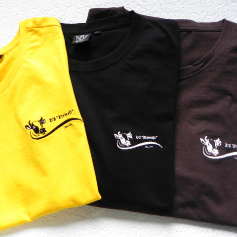 Men T-Shirts with LOGO on chest