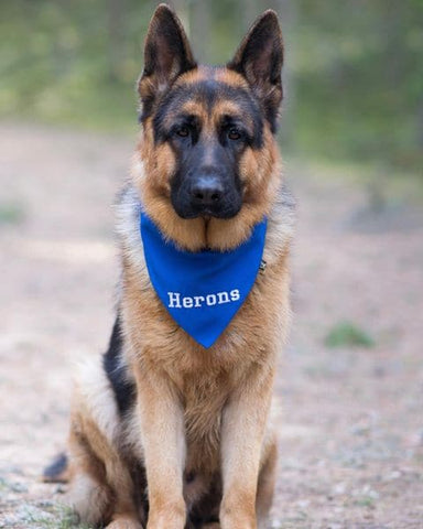 Pet Bandana with Embroidered Name