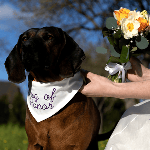 Wedding Embroidered Bandana Dog Of Honor