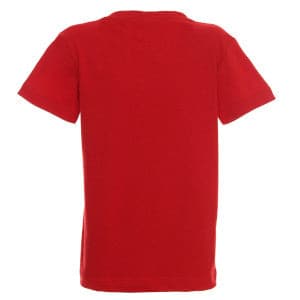 Mens T shirt With Big Logo Embroidery